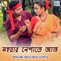 Mhuar Nesate Aj Siuliroy Gupta Song Download Mp3