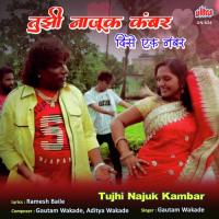 Tujhi Najuk Kambar Gautam Wakade Song Download Mp3