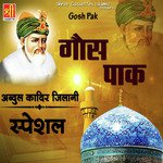 Bade Peer Hai Badshah Jamana Shakeel Ashfaq Song Download Mp3