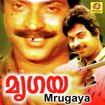 Mrugaya songs mp3
