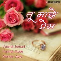 Vedya Mana Vaishali Samant Song Download Mp3