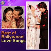 Do Anjaane Ajnabi Udit Narayan,Shreya Ghoshal Song Download Mp3