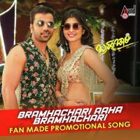 Bramhachari Aaha Bramhachari Vaishak Shashidharan,Naveen Song Download Mp3