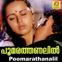 Poomarathanalil songs mp3