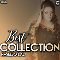 Menon Barbaad Karan Waliya Naseebo Lal Song Download Mp3