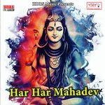 Saal Bhar Par Aaweli Sandeep Sawariya Song Download Mp3