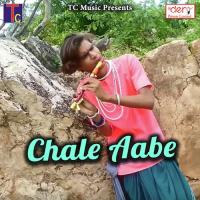 Chale Aabe Purshottam Sahu,Tijan Patel Song Download Mp3