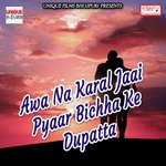 10 Go Khojab Bhatar Re Radheshyam Deewana Song Download Mp3