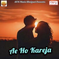 Bhatar Satave Vipul Tiwari Song Download Mp3