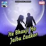 Chala Na Baba Dham Satish Yadav,Krishna Kumar Song Download Mp3