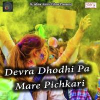 Devra Dhodhi Pa Mare Pichkari songs mp3