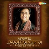 Tumhare Jaisa Koi Dusra Jagjit Anurag Srivastava,Parineeta Ranawat Song Download Mp3