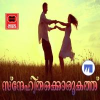 Snehithakkoru Kathu songs mp3