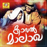 Nithya Nirmala Kalabhavan Sabu,Mini Sabu Song Download Mp3