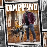 Compound Amar Sajaalpuria Song Download Mp3