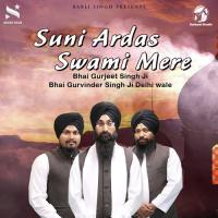 Suni Ardas Swami Mere songs mp3