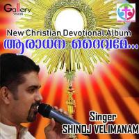 Aradhana Daivame Shinoj Velimanam Song Download Mp3