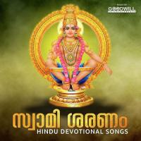 Charutha Sandhya Satheesh Kumar Song Download Mp3