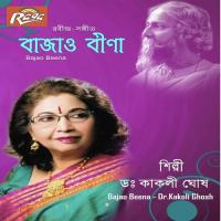 Kego Antarotaro Se Dr Kakoli Ghosh Song Download Mp3