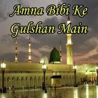 Amna Bibi Ke Gulshan Main Laiba Zafar Song Download Mp3