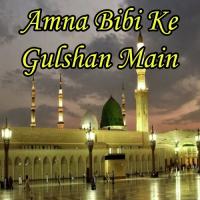 Amna Bibi Ke Gulshan Main songs mp3