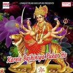 Karele Bajhiniya Pukar Ho songs mp3