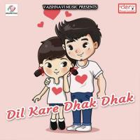 Dil Kare Dhak Dhak songs mp3