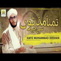 Tamanna Muddaton Se Hai Hafiz Muhammad Zeeshan Kasmani Song Download Mp3