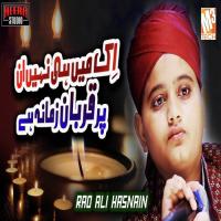 Ek Main Hi Nahi Un Par Rao Ali Hasnain Song Download Mp3