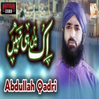 Aik Main Hi Nahi Abdullah Qadri Song Download Mp3