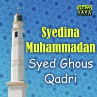 Syedina Muhammadan Syed Ghous Qadri Song Download Mp3