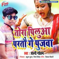 Tora Pilua Partau Ge Pujwa Manoj Bihari Song Download Mp3