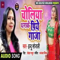 Kawan Khalu Vitamin Ki Motataru Ho Yadav Vikash Ra Song Download Mp3