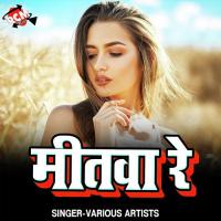 Mitwa Re Man Nahi Lage Hamar Re Dk Viru Song Download Mp3