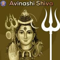 Purusha Suktam (Shiva) Vighnesh Ghanapaathi,Gurumurthi Bhat,Shridhara Bhat (Vedadhara) Song Download Mp3