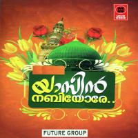 Anandam Kaliyaduvan Nisamudheen Song Download Mp3