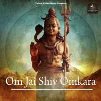 Shiv Panchakshar Shrotam Pdt. Vidya Dhar Mishra Song Download Mp3