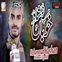 Tu Shah E Khooban Muhammad Kashan Malbari Qadri Song Download Mp3