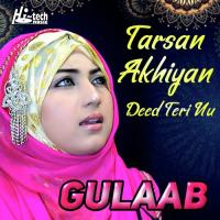 Tarsan Akhiyan Deed Teri Nu Gulaab Song Download Mp3