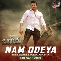 Nam Odeyaa Aakash P. Song Download Mp3