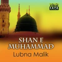 Shan E Muhammad songs mp3