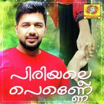 Nilavulla Saleem Kodathoor Song Download Mp3