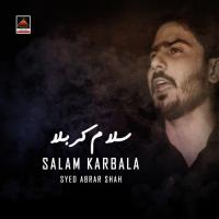 Salaam Karbala songs mp3