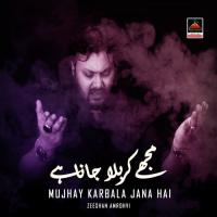 Kaha Hussain Ne Zainab Se Na Malaal Karo Zeeshan Amrohvi Song Download Mp3