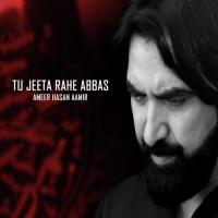 Aisa Huwa Barbad Ameer Hasan Aamir Song Download Mp3