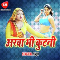 Arwa Bhi Kutli Sonu Bihari Song Download Mp3