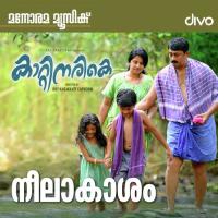 Neelakasham Harishankar Song Download Mp3