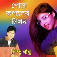Sona Bondhu Amar Bindhu Babu Song Download Mp3