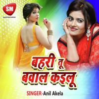 Bhari Tu Bawal Kailu Anish Kumar Song Download Mp3