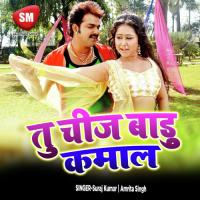 Chhora Gora Rang Dekh Ke Deewana Ho Gail Amrita Singh Song Download Mp3